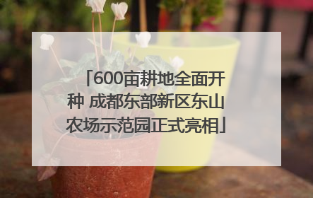 600亩耕地全面开种 成都东部新区东山农场示范园正式亮相