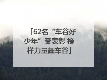 62名“车谷好少年”受表彰 榜样力量耀车谷
