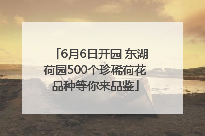 6月6日开园 东湖荷园500个珍稀荷花品种等你来品鉴
