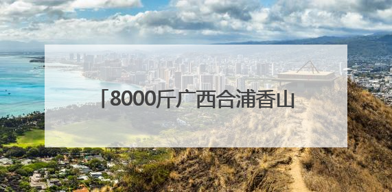 8000斤广西合浦香山鸡嘴荔枝赠西安市民品鉴