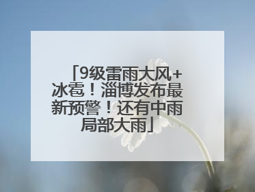 9级雷雨大风+冰雹！淄博发布最新预警！还有中雨局部大雨
