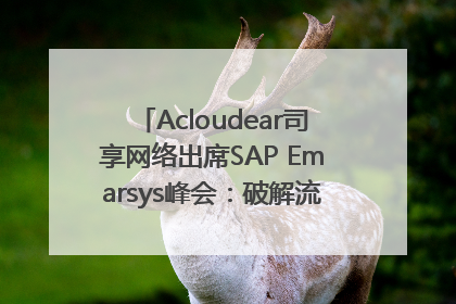 Acloudear司享网络出席SAP Emarsys峰会：破解流量困局，驱动精准增长