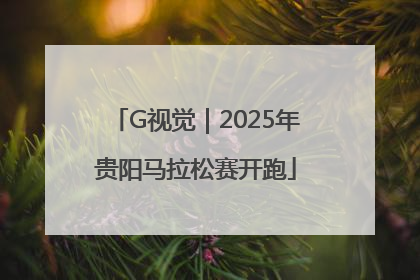 G视觉｜2025年贵阳马拉松赛开跑