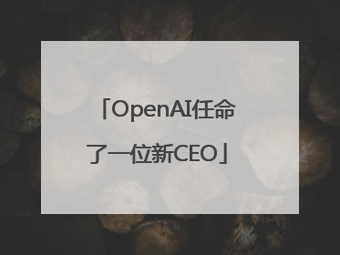 OpenAI任命了一位新CEO
