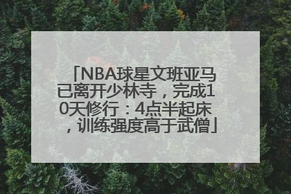 NBA球星文班亚马已离开少林寺，完成10天修行：4点半起床，训练强度高于武僧